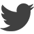 twitter bird icon